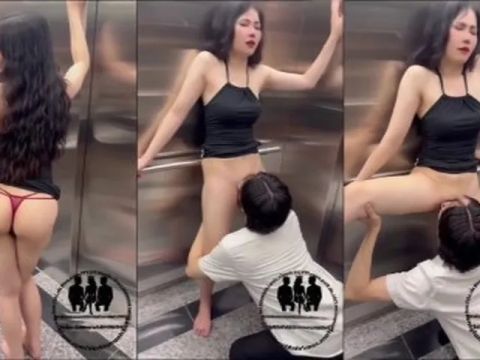 Đang phô dâm trong thang máy thì gặp trai lạ em cho vét luôn